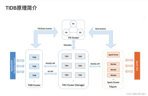 TiDB架構(gòu)解析 數(shù)據(jù)處理與存儲服務(wù)的核心特性